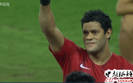 极品爆料足球最新消息今天,极品爆料足球最新动态，揭秘赛场幕后风云