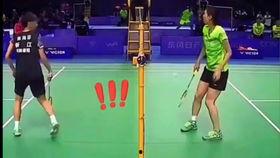 鸡哥最新爆料篮球